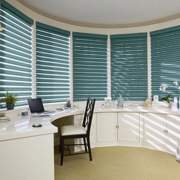 Hunter Douglas Pirouette Window Shadings