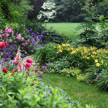 Perennial Garden