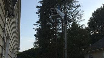 Tree Removal in Hudsonville, Michigan