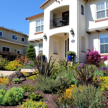 Coastal Mediterranean Deer-Resistant Garden