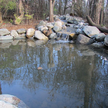 Water Feature - Pond