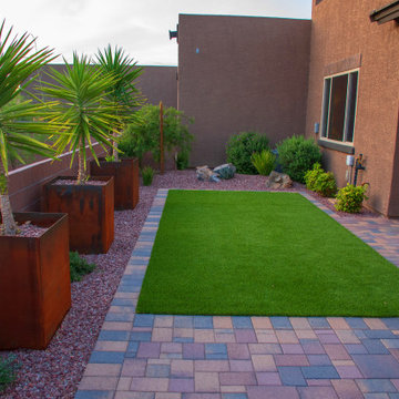 A Stroll through a Tucson Neighborhood
