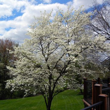 The Beauty of Mother Nature