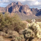 De Ann Brettin's photo