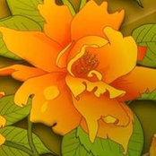 Norma LaVenture's photo