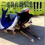Alyssa Krueger's photo