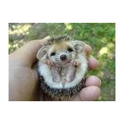 Rosie Calvert's photo
