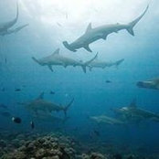 Emily Blackburn's photo