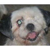 Donna Etheredge's photo