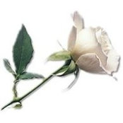 Florence Banaszynski's photo