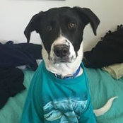 Laura Ebel's photo