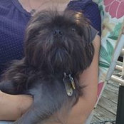 Lorraine Sheffer's photo