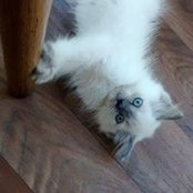 Ginette Pharand's photo