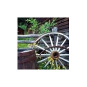 Barbara Bailey's photo