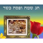 אריאל קסוקרs foto