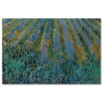 Vincent van Gogh 'Lavender at Saintes-Maries' Canvas Art, 47 x 30