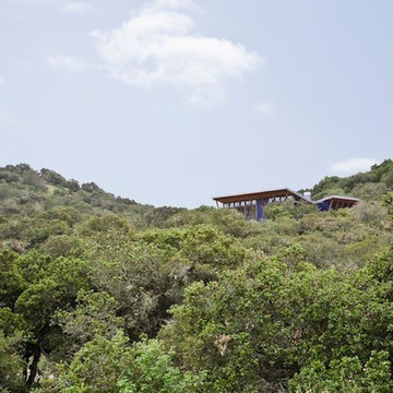 Falcon House