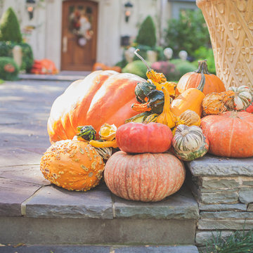 Fall Seasonal Pumpkins and Halloween Displays