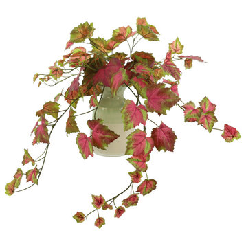 26" Trailing Variegated Ivy in Ceramic Vase