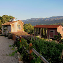Chicken Coop