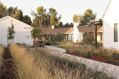 Inspiration for a modern landscaping in San Luis Obispo.