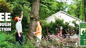 AAA Tree Experts, Inc.