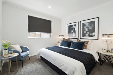 This is an example of a mid-sized contemporary master bedroom in Brisbane with grey walls, carpet and grey floor.