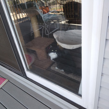 Comfy Catio (Cat Patio / Deck)