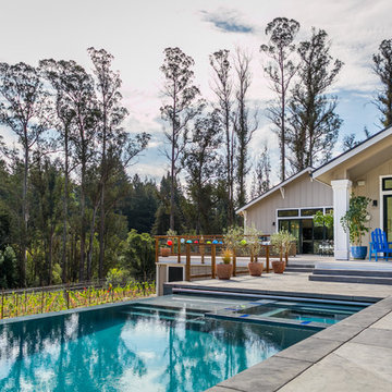 Happy Valley - New Winery Estate
