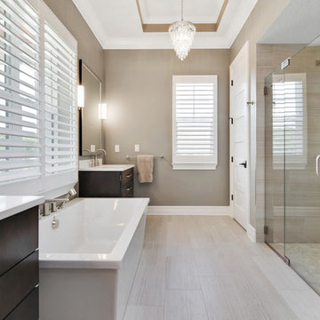 Tampa Transitional Whole House