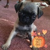 Peggy McMahon's photo