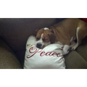 Christopher Zaffle's photo