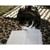 Mookie Moo's photo