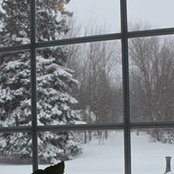 Edna Robichaud's photo