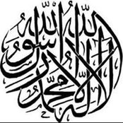 Hafsa Morjane's photo