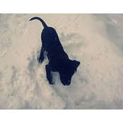 Anna Ana's photo