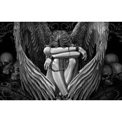 Tracey Brookshier's photo