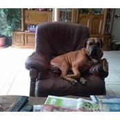 Eva Senyk's photo
