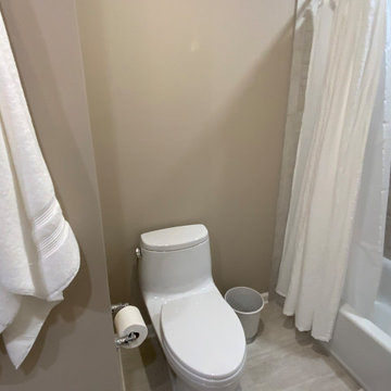 Remodeled Hall Bathroom