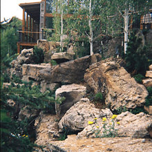 Alpine Garden