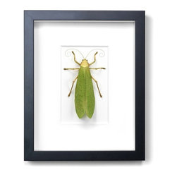 Wall Art - Products