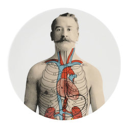 The New English - The New English Anatomica Cake Plate - Dinner Plates