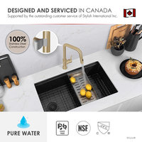 Single Handle Pull Down Touchless Kitchen Faucet, Brushed Gold