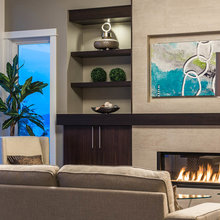 insert fireplace