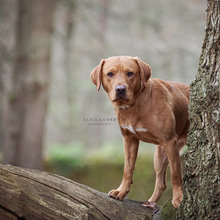 Amazing photography