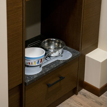 Dog Feeding Ledge