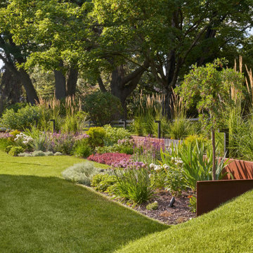 Modern Backyard with Colorful Gardens