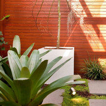 Teena de Rooy's Ideas