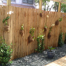 My Fave Garden Ideas