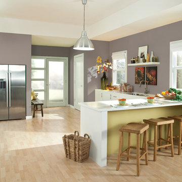 Poised Taupe SW 6039 - 2017 Color of the Year